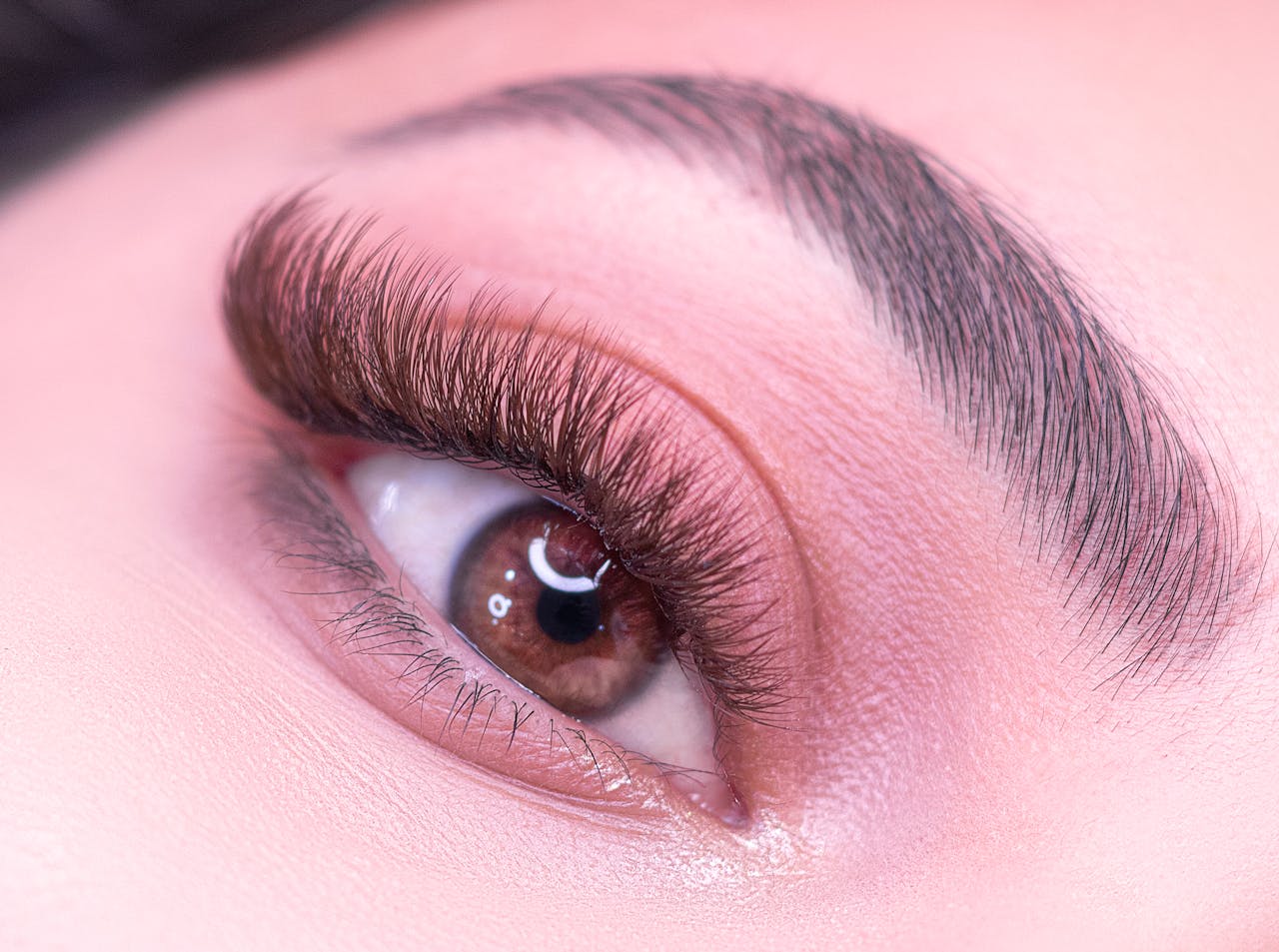 Detailed close-up of a womans eye highlighting eyelashes and eyebrow.